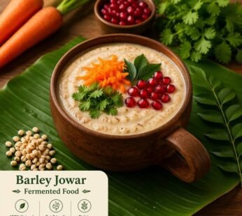 Barley Jowar Fermented Food